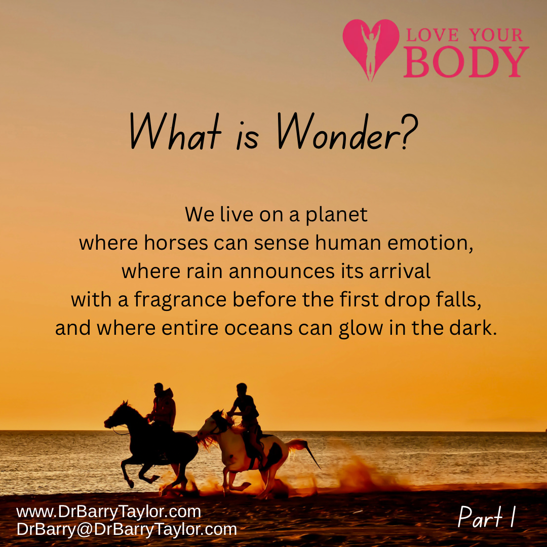 Love Your Body Contemplations — A Live Six-Week Workshop with Dr. Barry Taylor